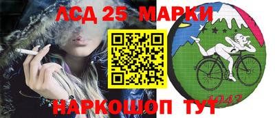 ПСИЛОЦИБИНОВЫЕ ГРИБЫ Можга