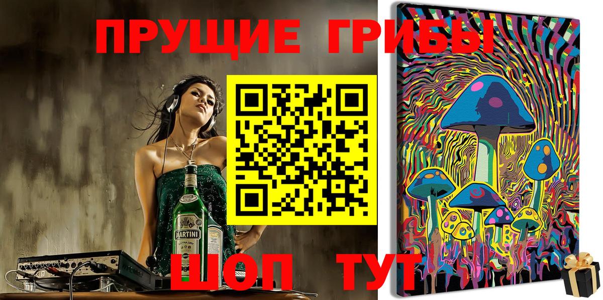Брянск  Псилоцибиновые грибы Psilocybine cubensis  Галлюциногенные грибы прущие грибы  Вход с VPN 
